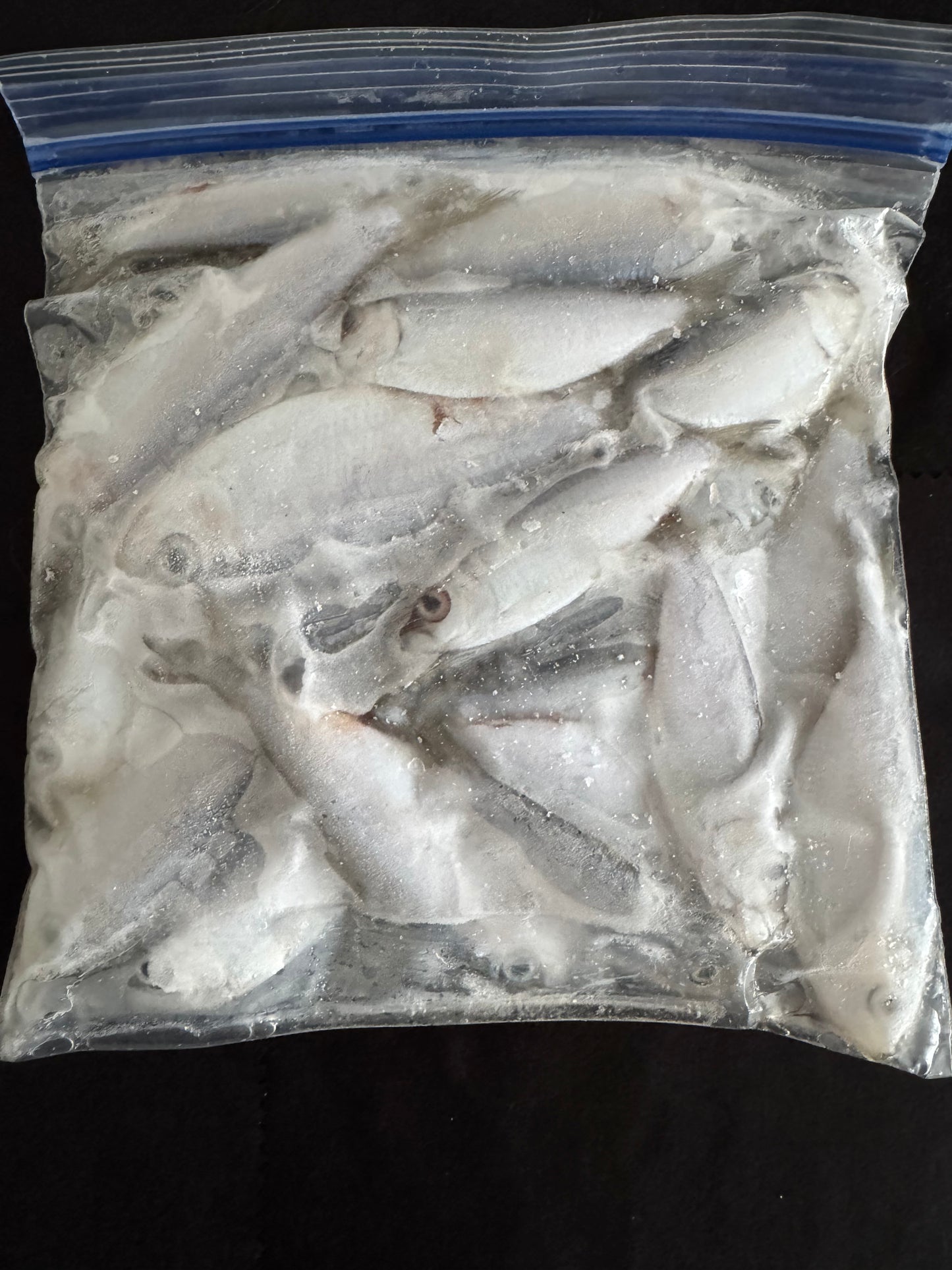 Frozen Greenbacks 16oz