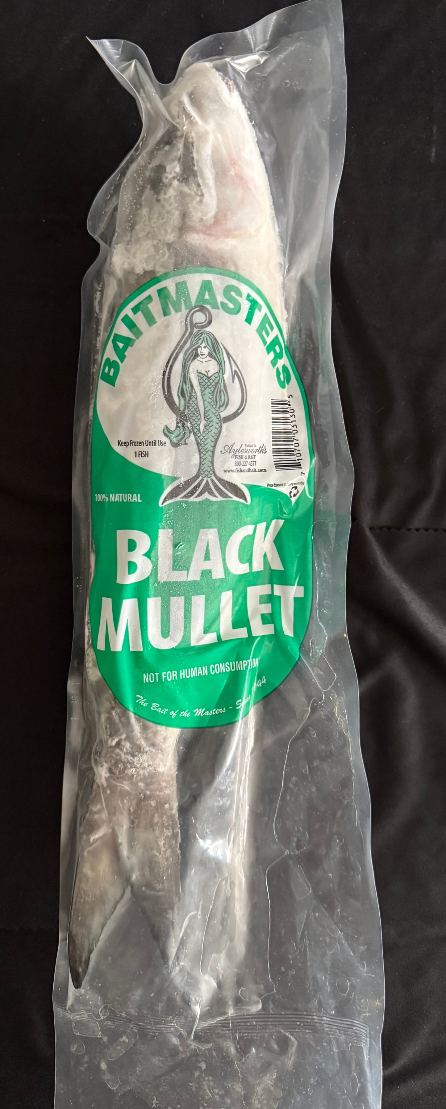 Frozen Mullet