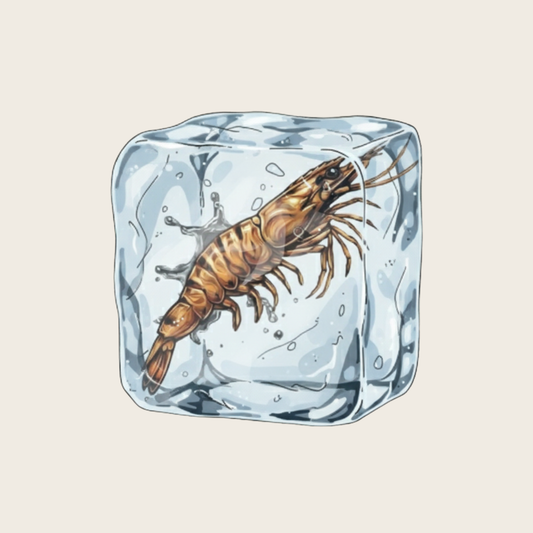 Frozen Shrimp 8oz