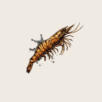 Live Shrimp - Regular Assorted Sizes